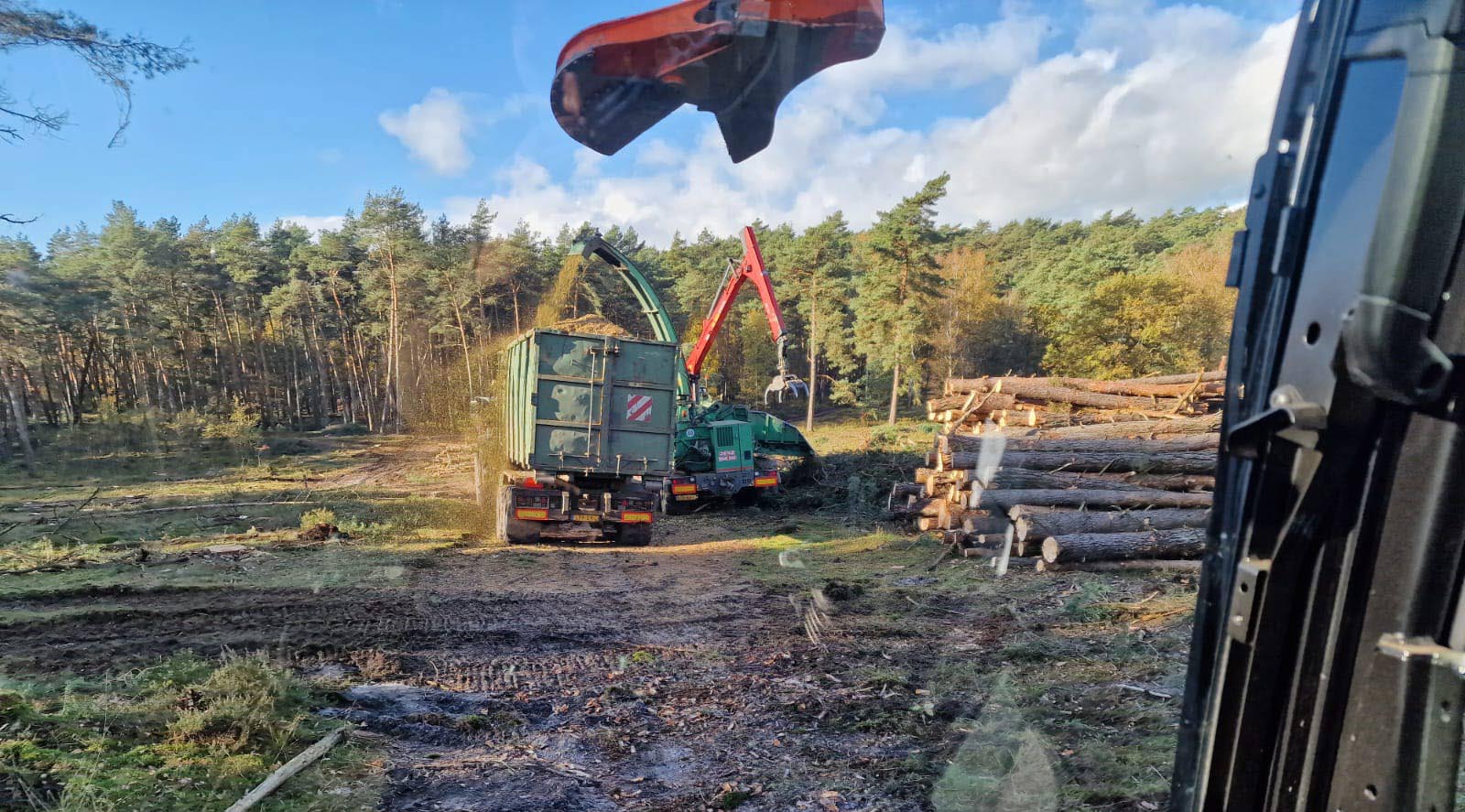 bosbouw