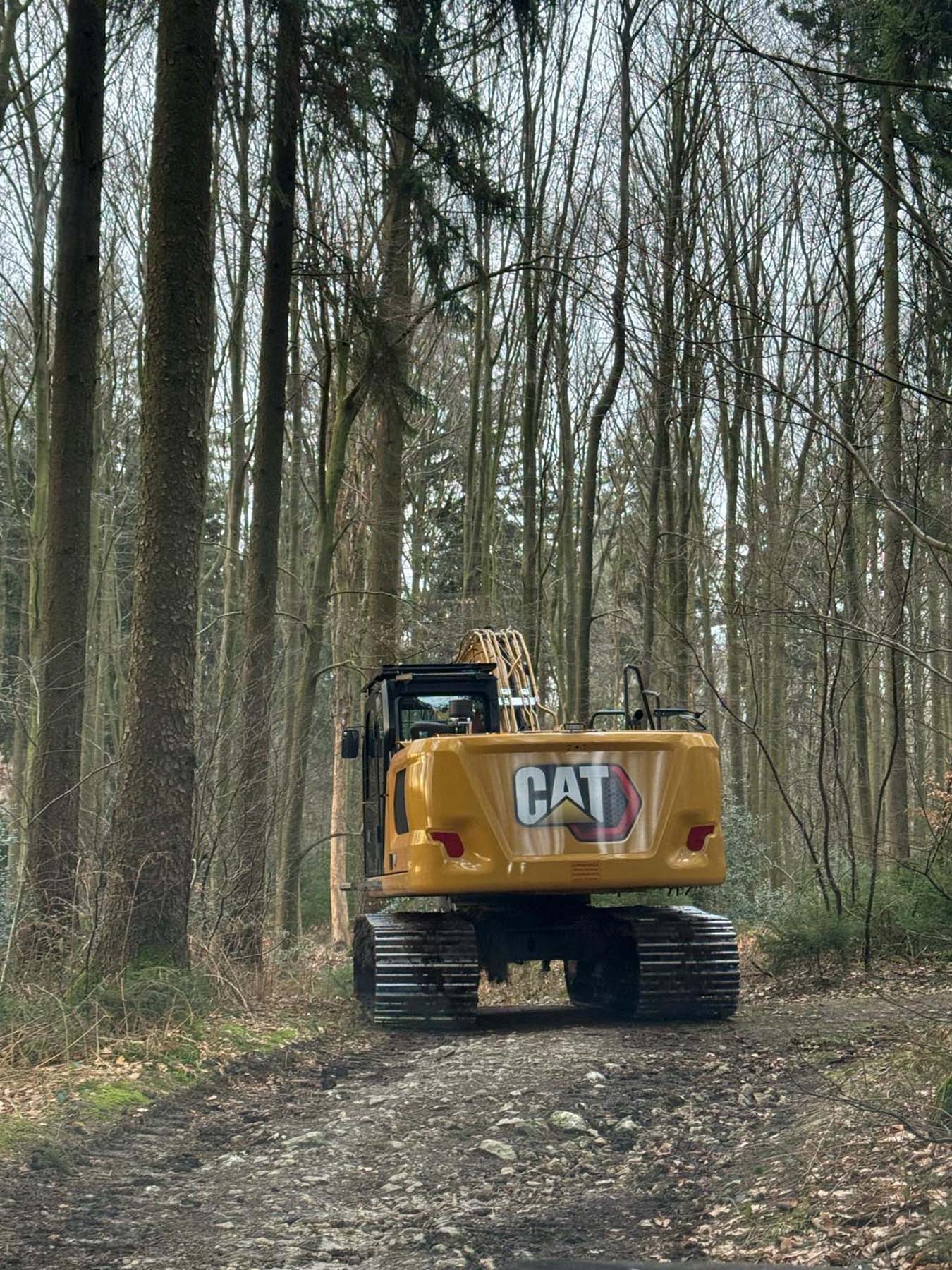 bosbouw project