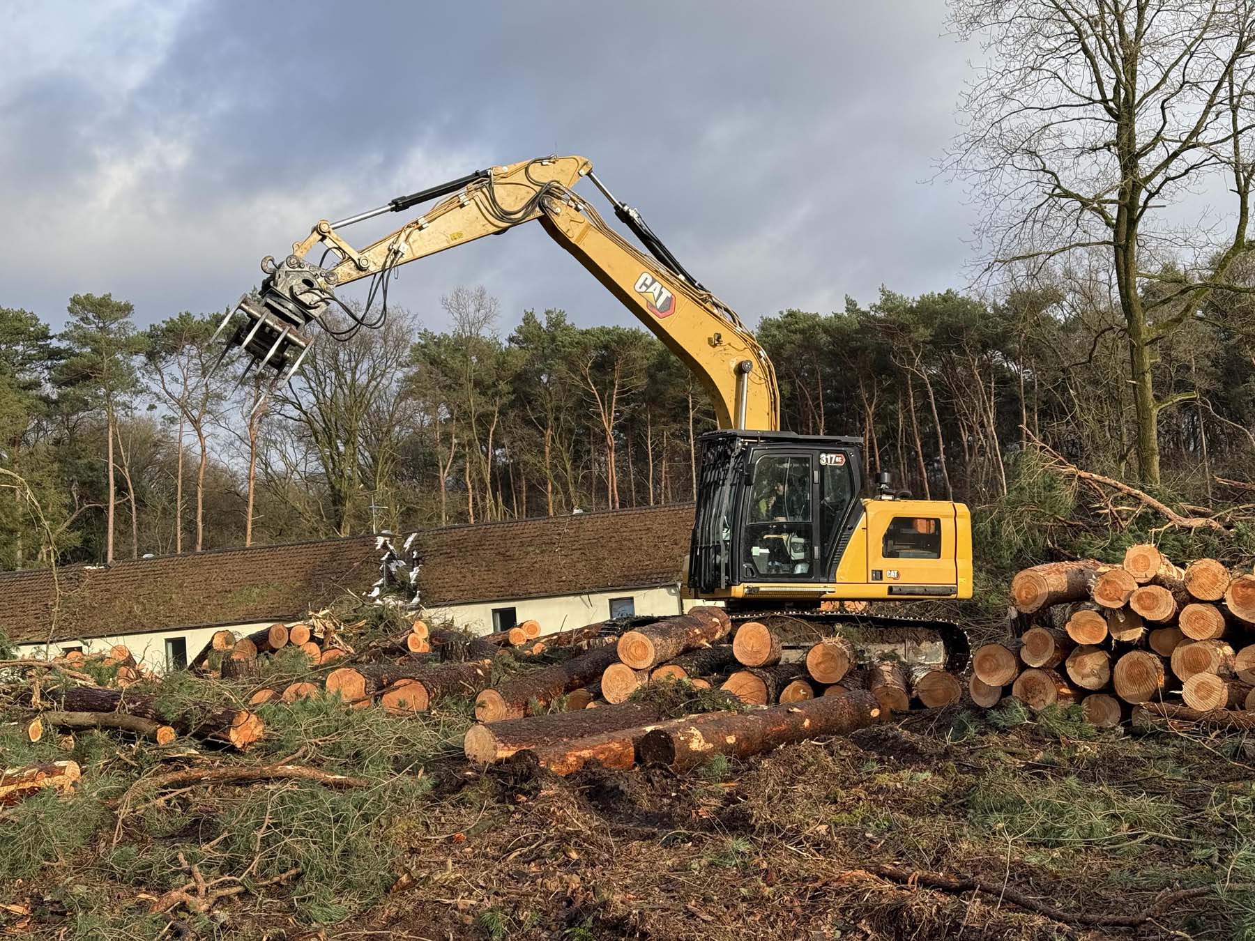 bosbouw project