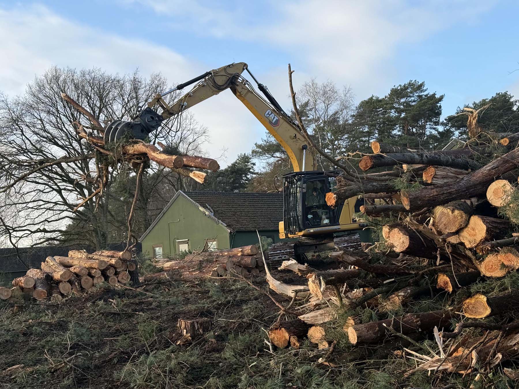 bosbouw project